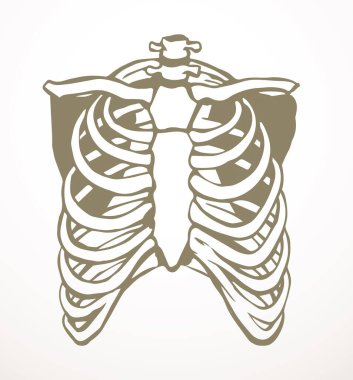 Öndeki beyaz kadın, eklem eklem ağrısı, kol ağrısı, hastane, tedavi, röntgen filmi logosu. Elle çizilmiş kadın doktor röntgeni ölü erkek omurilik rahatsızlığı, akciğer ağrısı sınavı karalama çizimi.