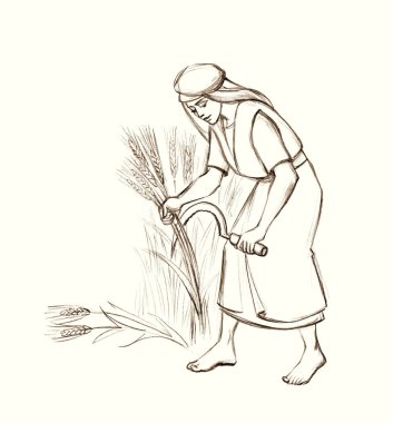 Genç Yahudi, Doğu İsrail, Müslüman, Arap, yaşlı adam, beyaz, kırsal, bahar, toprak, bitki, gökyüzü, resim çizimi, Asyalı, Yahudi, hizmetçi, kölelik, çim biçme, olgun, yiyecek sembolü.