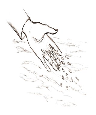 Closeup view female palm arm yield give small corn crop white sky text space Outline black pen drawn biblic pour dirt sign icon concept retro line cartoon bible god Jesus Christ story art sketch style