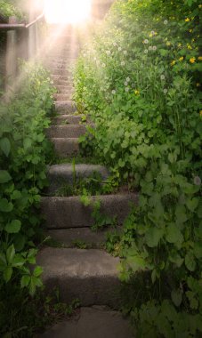 Kirli, kaba kaba, kaba, kaba, çatlak, güz yürüyüşü, kurşun bahçesi, hatta güneş günü kapısı, güneşli mesaj alanı. Büyüyen yemyeşil çiçeklerin çiçek açması sarmaşık sarmaşıkları duvar biyolojik eko otlar bitki manzarası büyür