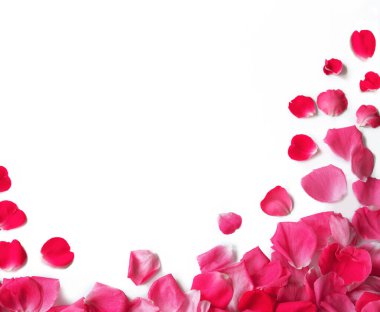 Eski retro sanat yumuşak sonbahar ışığı pastel kırmızısı aroma yığını metin kopyalama alanı. Güzel, kırsal festival. Parlak, bereketli bahar tomurcukları. Dekor, kutlama günü hediye kartı.