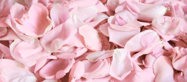 Eski retro sanat yumuşak sonbahar pastel mor aroma yığını metin kopyalama alanı. Güzel, kırsal festival. Parlak, bereketli bahar tomurcukları. Dekor, kutlama günü hediye kartı.