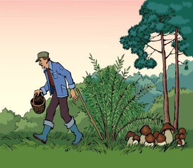 Vektör çizimi. Ormanda mantar toplayan bir adam