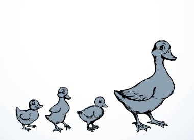 Yakından bakınca sevimli nehir gölü annesi Branta cygnus gaggle Cub row 'u koruyor beyaz metin alanı ayarlıyor. Siyah el çizilmiş genç pofuduk drake fauna go zoo road logosu antika köy çizgisi sanat tarzı