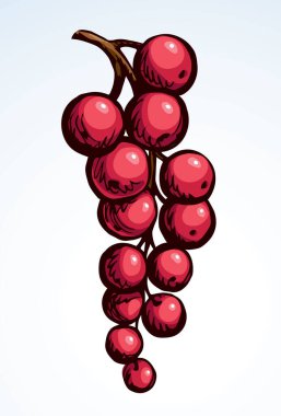 Ana hatları siyah mürekkepli el taze, taze, taze, ham, sağlıklı besleyici, yeşil rubrum tatlı amblemi tasarımı, retro sanat karalama çizgisi baskı stili. Çiçek dalını kapat botanik görüntüsü açık gökyüzü metin alanı deseni