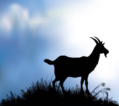 Gölün kenarındaki çimlerde keçi silueti. Vektör çizimi