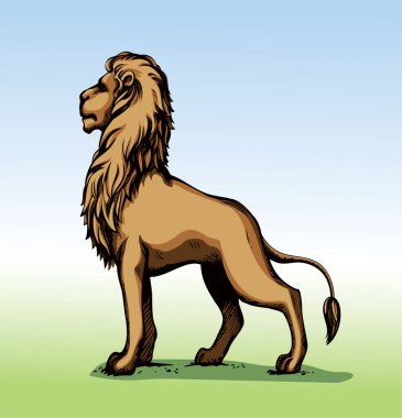 Vektör çizimi. Aslan avını arıyor.