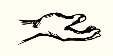 Genç insan eli. Vektör çizimi