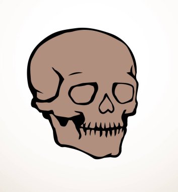 Yakın görüş eski natur craniu baş deliği kısmı omurga tarama bölümü x ışını ölüm logosu çizilmiş el çizgisi ölü omurga yaralanması hasta ağrı testi soyut çizgi çizim sanat konsepti