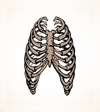 Öndeki beyaz kadın, eklem eklem ağrısı, kol ağrısı, hastane, tedavi, röntgen filmi logosu. Elle çizilmiş kadın doktor röntgeni ölü erkek omurilik rahatsızlığı, akciğer ağrısı sınavı karalama çizimi.