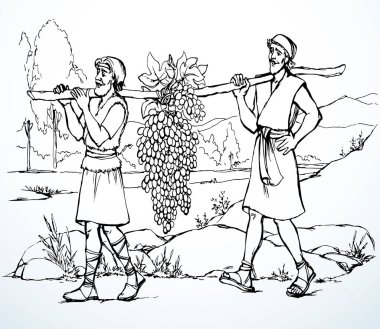 Vektör çizimi. İki adam bir üzüm taşıyor..