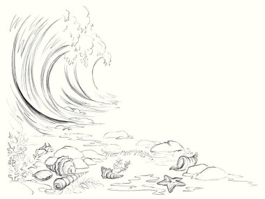 Light white wet salt aqua rock pebbl stone floor text space scene black hand drawn wild tide surf oyster mollusc star Closeup scenic view global hot warm climate sandy bay life cartoon art line sketch