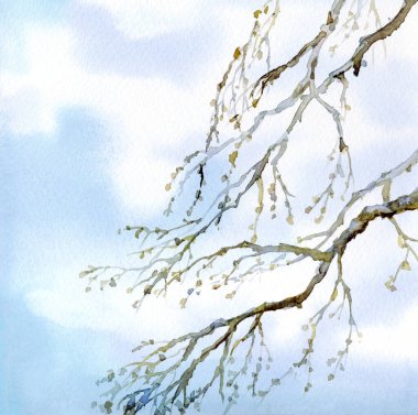 Beyaz kart metin arkaplanına resim çizen parlak el çizimi sanatçısı. Doğu mürekkebi renginde boya fırçası tasarımı manzarası. Romantik yaşlanmış ölü solgun filizlenme bahçesi sahnesi