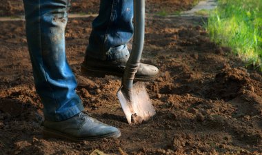 Yaşlı sağlıklı kadın, yakın plan çekimine başla. Kaba tohum kökü ekimi, vintag yaşam hobisi. Kapalı görüş iyi koyu kahverengi taze ıslak lod bio eko bereketli humus günü açık hava konsepti fikri