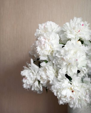 Eski çağ sanat ışığı hala hayat metni güzel gül kesimi yıldız çiçeği demeti mutlu bereketli tomurcuk demeti hala hayat dekoru tebrik kartı makro manzaralı morn park afişi kapatın