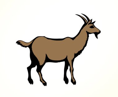 Büyük beyaz keçi. Vektör hayvan