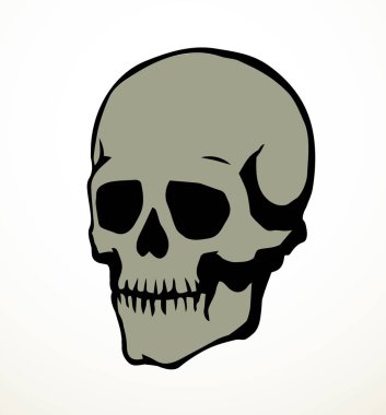 Yakın görüş eski natur craniu baş deliği kısmı omurga tarama bölümü x ışını ölüm logosu çizilmiş el çizgisi ölü omurga yaralanması hasta ağrı testi soyut çizgi çizim sanat konsepti