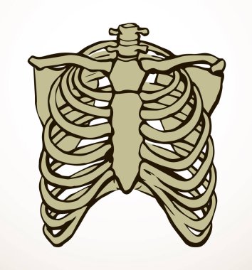 Öndeki beyaz kadın, eklem eklem ağrısı, kol ağrısı, hastane, tedavi, röntgen filmi logosu. Elle çizilmiş kadın doktor röntgeni ölü erkek omurilik rahatsızlığı, akciğer ağrısı sınavı karalama çizimi.