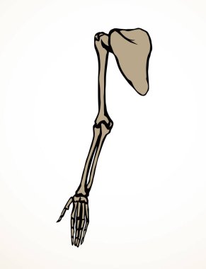 Arkaya bakan hasta kadın, omurga yaralanması bilek ağrısı, ameliyat, terap tarama, röntgen, beyaz logo. Siyah çizilmiş kadın yaralanması başparmak sıhhiyesi, Xray dirsek ağrısı, dirsek ağrısı, çizim sanatı.