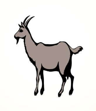 Büyük beyaz keçi. Vektör hayvan