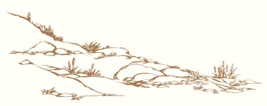 Vektör çizimi. Bitkiler taşlık tepede yetişir.