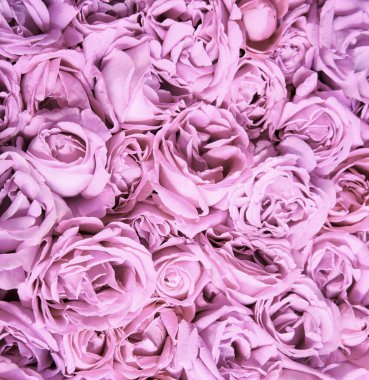 Eski sanat eseri yumuşak pastel mor renk aroma kafa yığını metin kopyalama alanı. Güzel, kırsal festival. Parlak, bereketli bahar tomurcukları. Dekor, kutlama günü hediye kartı.