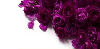 Eski moda sanat yumuşak sonbahar pastel krem renginde aroma yığını metin kopyalama alanı. Güzel, kırsal, şenlikli, parlak, bereketli bahar tomurcuğu dekoru dekoru, hediye günü kartı. Üst manzara afişini kapat.