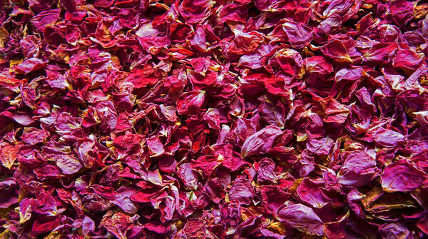 Старое искусство ярко-красный розовый свежий запах спа-ботанический цветущий масло кучу текста скопировать пространство. Красота ретро сельских летних бутонов Детокс диета любовь символ декора приветствия свадебная открытка закрыть верхний макро зрения праздник рамка дизайна