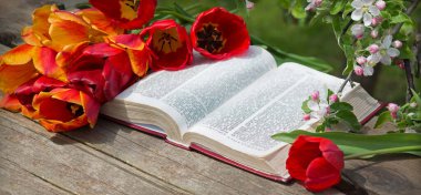 Grunge age dirty worn rough pray white desk space. God prayer holy joy happy gospel culture literary bright glow sun light love fresh apple tree plant branch red bloom bud gift art still life concept