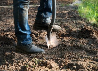 Yaşlı sağlıklı kadın, yakın plan çekimine başla. Kaba tohum kökü ekimi, vintag yaşam hobisi. Kapalı görüş iyi koyu kahverengi taze ıslak lod bio eko bereketli humus günü açık hava konsepti fikri