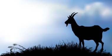 Gölün kenarındaki çimlerde keçi silueti. Vektör çizimi