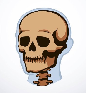 Yakın görüş eski natur craniu baş deliği kısmı omurga tarama bölümü x ışını ölüm logosu çizilmiş el çizgisi ölü omurga yaralanması hasta ağrı testi soyut çizgi çizim sanat konsepti