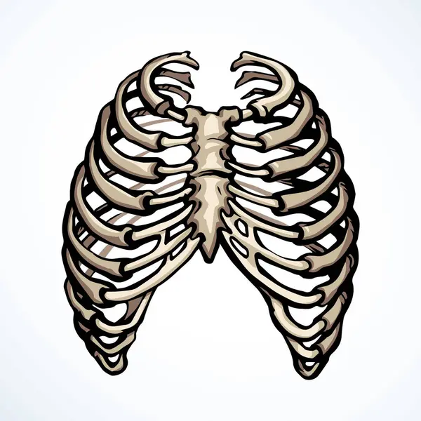 Öndeki beyaz kadın, eklem eklem ağrısı, kol ağrısı, hastane, tedavi, röntgen filmi logosu. Elle çizilmiş kadın doktor röntgeni ölü erkek omurilik rahatsızlığı, akciğer ağrısı sınavı karalama çizimi.