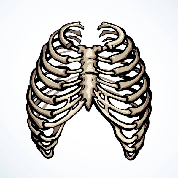 Вид спереди Белая старуха больная часть туловища сустава больная больная больная больная больная больная больная больная больная больная больница хирургическая помощь Ручной рентген женского тела, мертвый мужской спинномозговой больной легочный экзамен на боли в легких