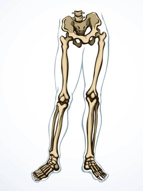 Front view old woman sick injury toe muscl tissue part ache hospital surgery care scan x ray radius white logo Black hand drawn femal upper fibular ankle injur medic xray ill pain exam line sketch art clipart