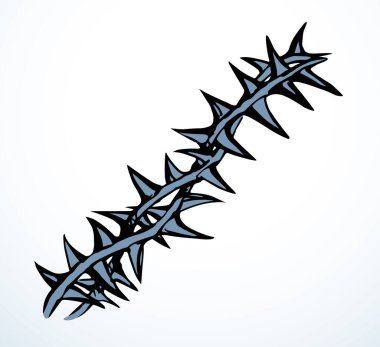 Vektör çizimi. Büyük diken dalı