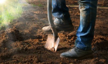 Yaşlı sağlıklı kadın, yakın plan çekimine başla. Kaba tohum kökü ekimi, vintag yaşam hobisi. Kapalı görüş iyi koyu kahverengi taze ıslak lod bio eko bereketli humus günü açık hava konsepti fikri