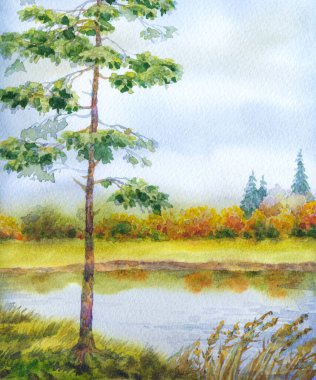 El çizimi parlak suluboya resim çizimi açık beyaz bulutlar üzerinde kağıt arkaplan metin alanı üzerine. Sonbahar karanlık kırsal bulutlu manzara manzarası. Bereketli sonbahar saz çalısı sisli dereye yansıyor