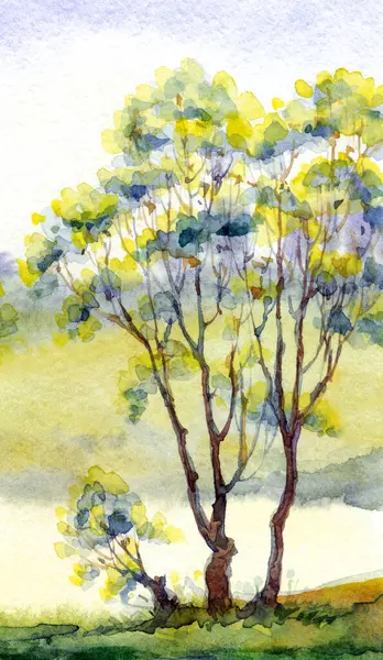 Parlak el çizimi suluboya ressamı temiz hava batımı sahnesi çiziyor. Kağıt arkaplan metin alanı. Açık yeşil renkli boya sanat eseri çalılık vadi çimenliği sakin bir günde dere kıyısı manzarası