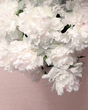 Eski çağ sanat ışığı hala hayat metni güzel gül kesimi yıldız çiçeği demeti mutlu bereketli tomurcuk demeti hala hayat dekoru tebrik kartı makro manzaralı morn park afişi kapatın