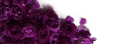 Eski moda sanat yumuşak sonbahar pastel krem renginde aroma yığını metin kopyalama alanı. Güzel, kırsal, şenlikli, parlak, bereketli bahar tomurcuğu dekoru dekoru, hediye günü kartı. Üst manzara afişini kapat.