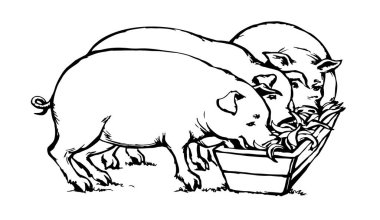 Koca göbekli, pis burunlu yaşlı erkek domuz ahırı kasabı fikri beyaz bahçedeki çamuru ortaya çıkardı. Esmer çizgili siyah çizgili el retro sanat küçük şişman göbekli dişi domuz ağızlık.