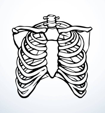 Öndeki beyaz kadın, eklem eklem ağrısı, kol ağrısı, hastane, tedavi, röntgen filmi logosu. Elle çizilmiş kadın doktor röntgeni ölü erkek omurilik rahatsızlığı, akciğer ağrısı sınavı karalama çizimi.