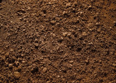 Huysuz, eski, boş, kötü, ıslak, karanlık, susuz, toprak toprak yol, metin uzayı. Üstü kapalı makro manzara. Kırık çamur, ekolojik atık, verimsiz bitki. Susuz, çorak bozkır çöl çimenliği.