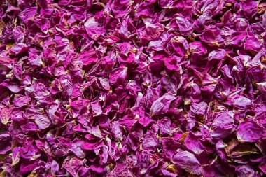 Eski sanat eseri parlak pembe mor koku spa çiçekli botanik yağ yığını metin kopyalama uzayı. Güzellik retro kırsal yaz tomurcuğu detoks diyet aşk sembolü evli kartı üst makro görünüm tatil çerçeve tasarımı kapatın