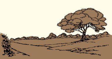 Eski koyu siyah çizgili kalem el çizilmiş sonbahar tatili meşe ağacı çalı sahnesi incil karalama sanatı tarzı. Sanatçı Pond Creek sahil sahili akçaağaç tepe açık gökyüzü metin alanı incili sanat eserleri