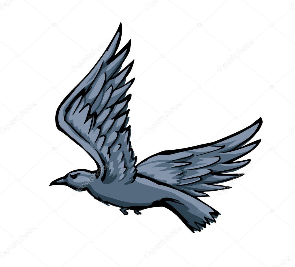 Dark ink pen hand drawn zoo corvidae corone tail feather emblem design retro art doodle pencil cartoon contour print style. Closeup view light paper old large big lake pica beak picture sky text space