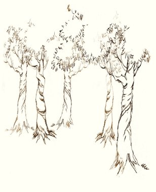 Eski uzun, yüksek gövdeli bakır çim kemeri düşüyor çiçek bahçesi İsrail tepe tarlası beyaz gökyüzü yazı alanı manzarası. Siyah mürekkep kalemle çizilmiş organik eko-yağ bitkisi sahnesi İncil 'deki retro sanat tarzını karalıyor.