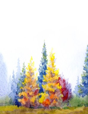 El çizimi suluboya resim beyaz kağıt desenli metin arkaplanı çizimi. Islak sis günü manzaralı bulutlu sis manzarası. Parlak kırmızı turuncu renk yabani tayga otlar kara akrilik Rusya manzarası