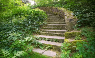 Kirli kırsal granit grunge kurşun bahçe kapısından düşüyor. Güneşli metin uzayından bile. Büyüyen yemyeşil sarmaşık sarmaşığı çiçek dalları duvar biyolojisi eko otu tropik bitki örtüsü manzarası konsepti